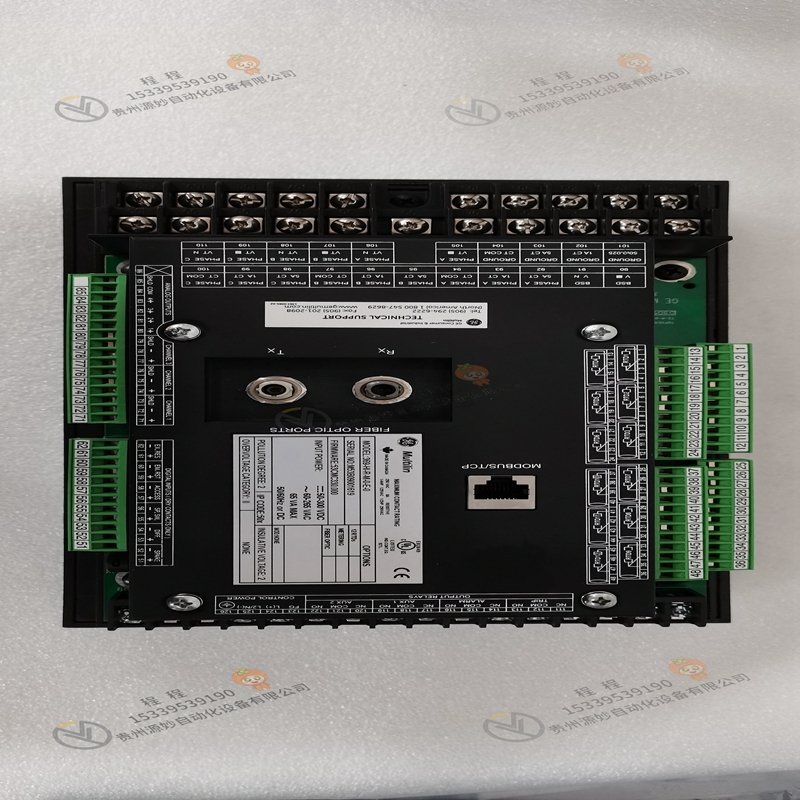 GE  IC800SKCPVL100
