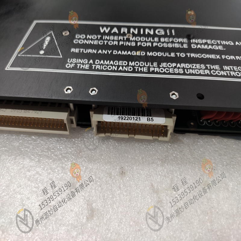 GE  IC800SLCBV100