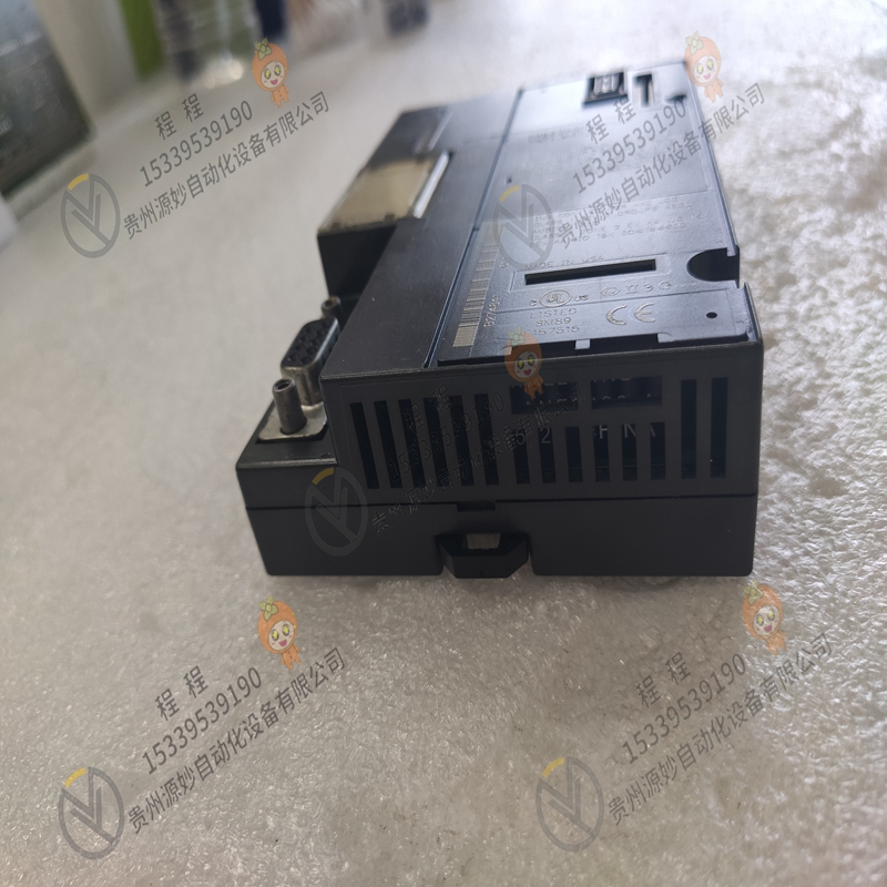 GE IC800SKCPV100