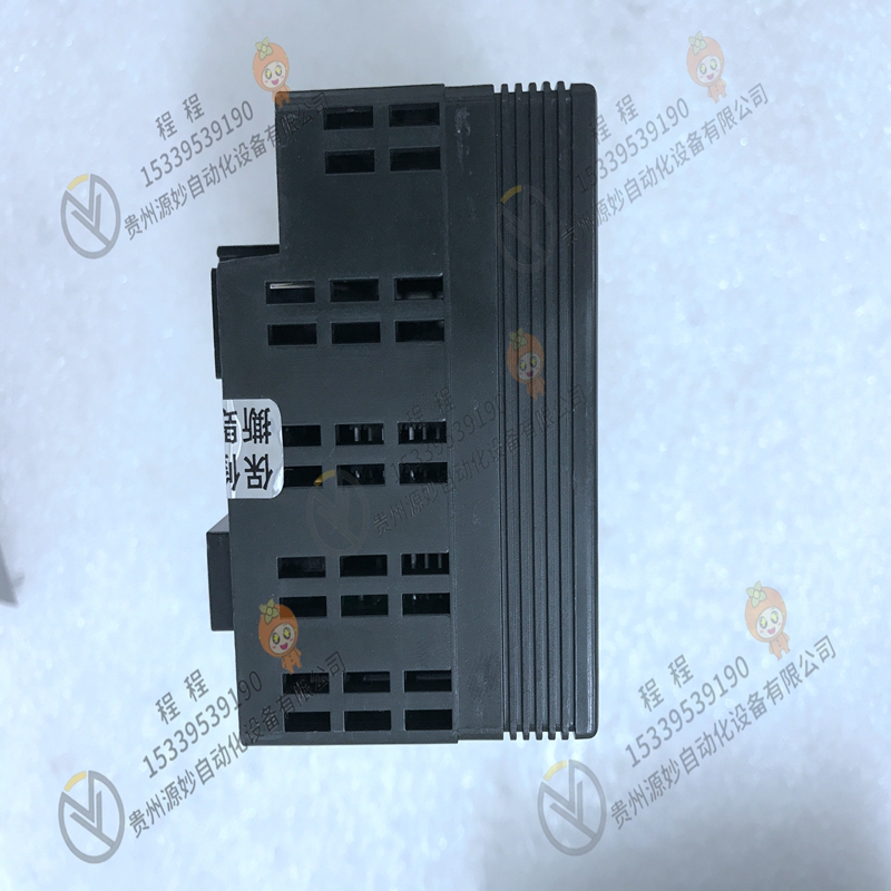 GE   IC800SLCS020