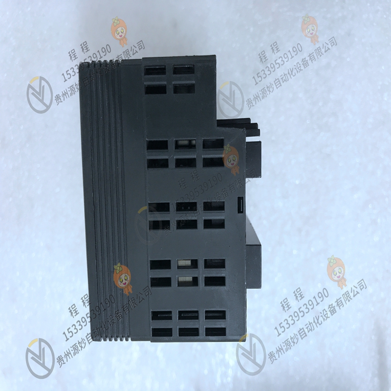 GE   IC800SLCPVL100