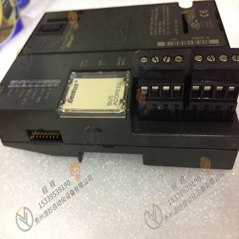 GE    IC800SSD216S1