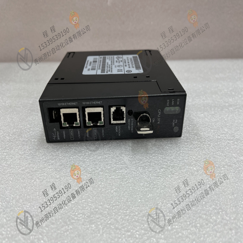 GE   IC693ACC317