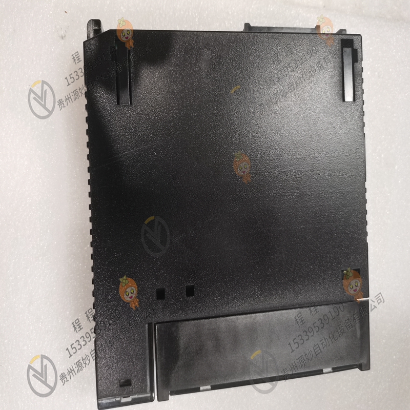 GE   IC693ACC318