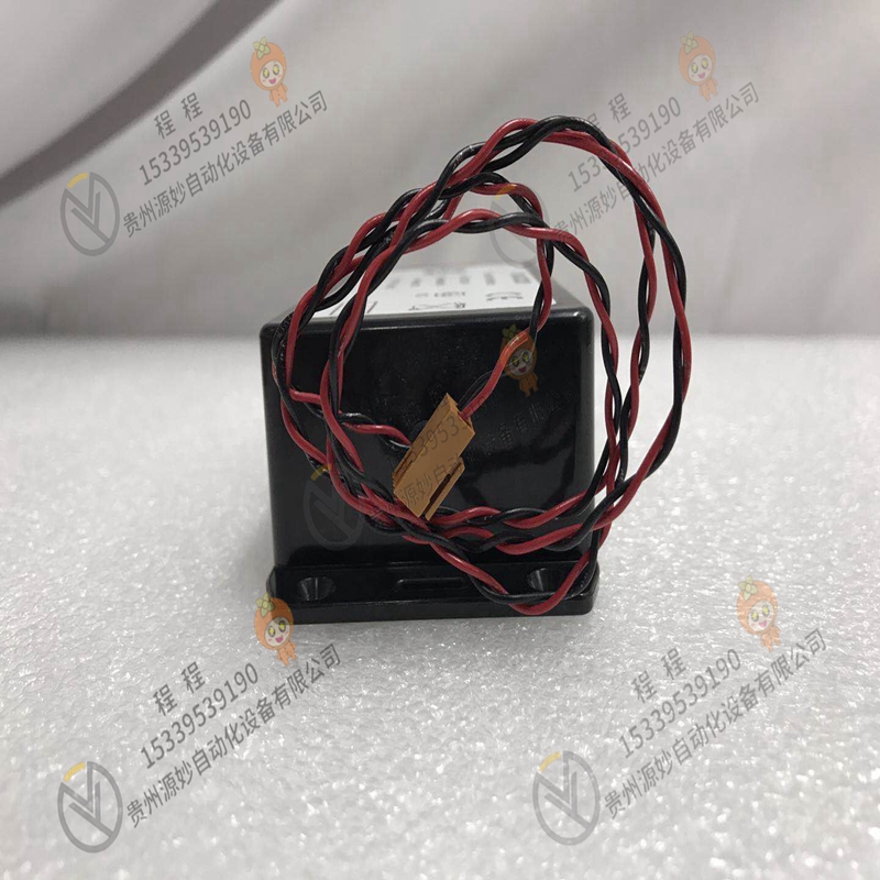 GE  IC693ACC335