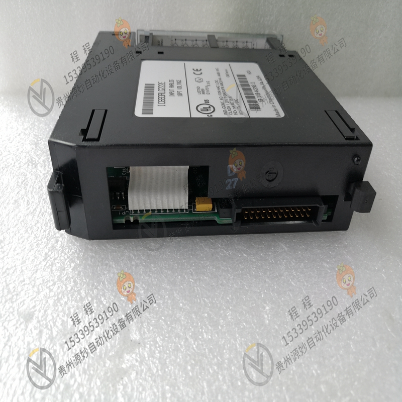 GE    IC693ACC310