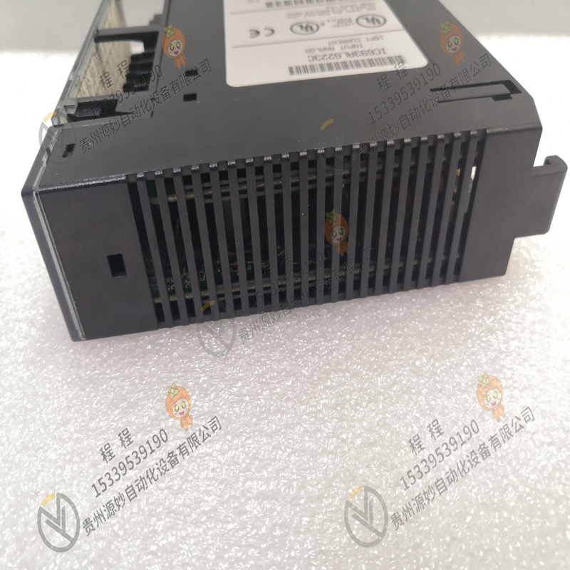 GE  IC693ALG221RR