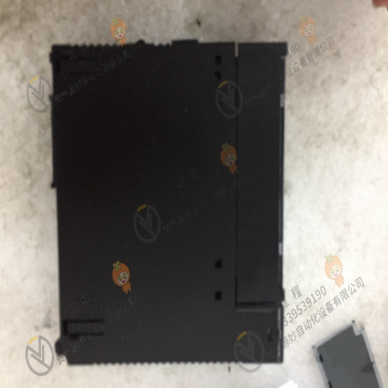 GE   IC693ALG222RR