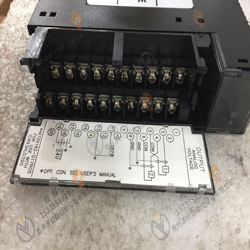 GE  IC693ALG392CA