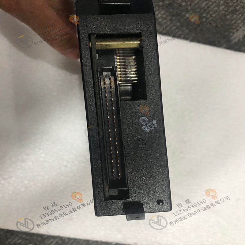 GE  IC693CBL304