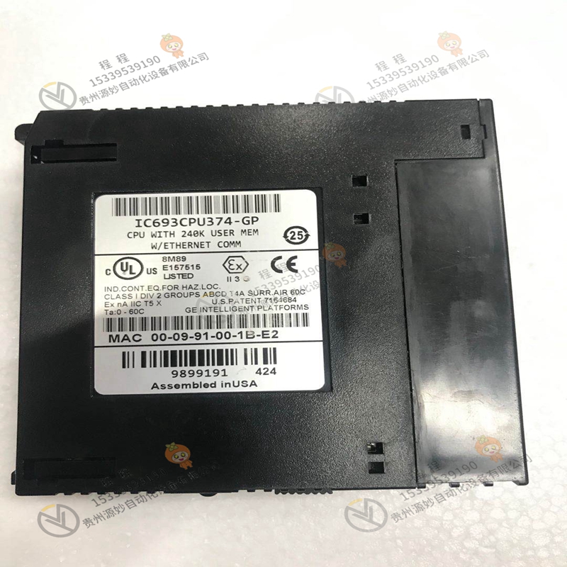 GE  IC693CBL303