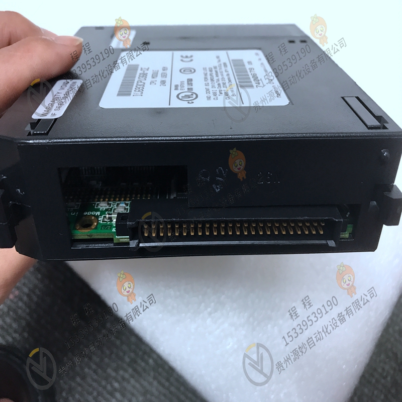 GE IC693DNS201
