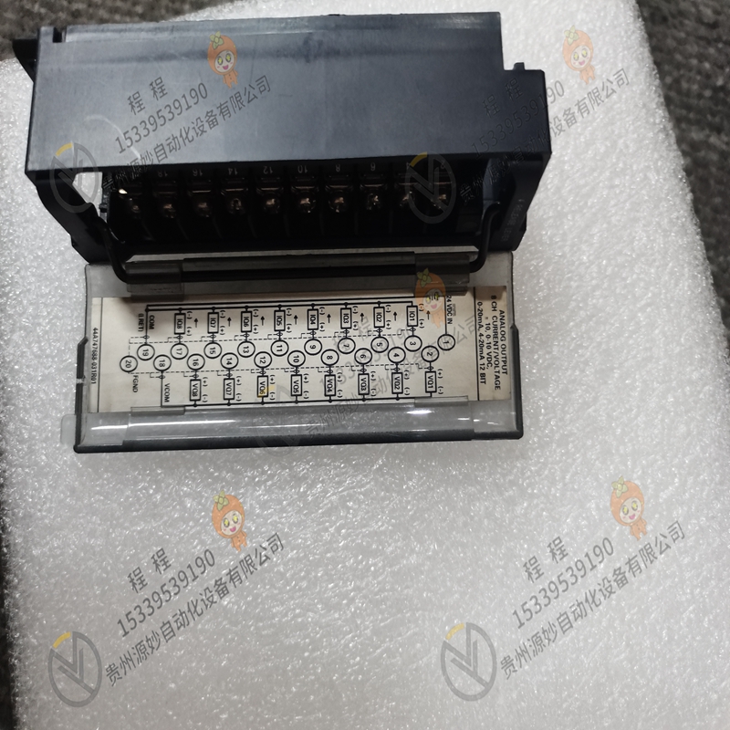 GE IC694DNM200