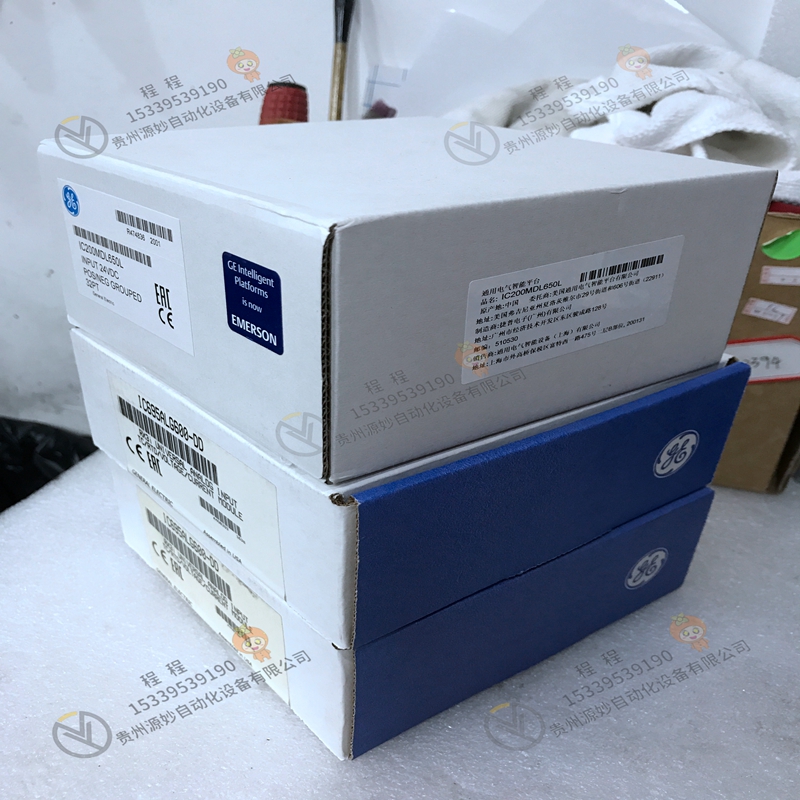 GE   IC695ALG608RS