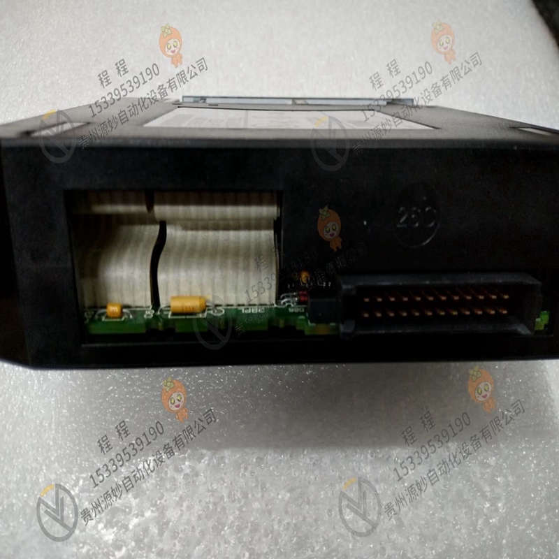 GE通用电气 IC690PRM210 卡件 模块