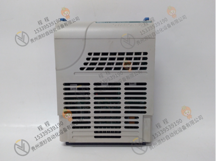 Emerson  艾默生 1C31113G06