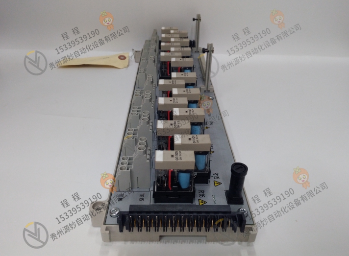 Emerson 艾默生 1C31199G01