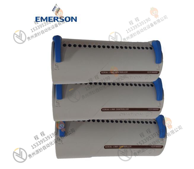 Emerson 艾默生 1C31197G05