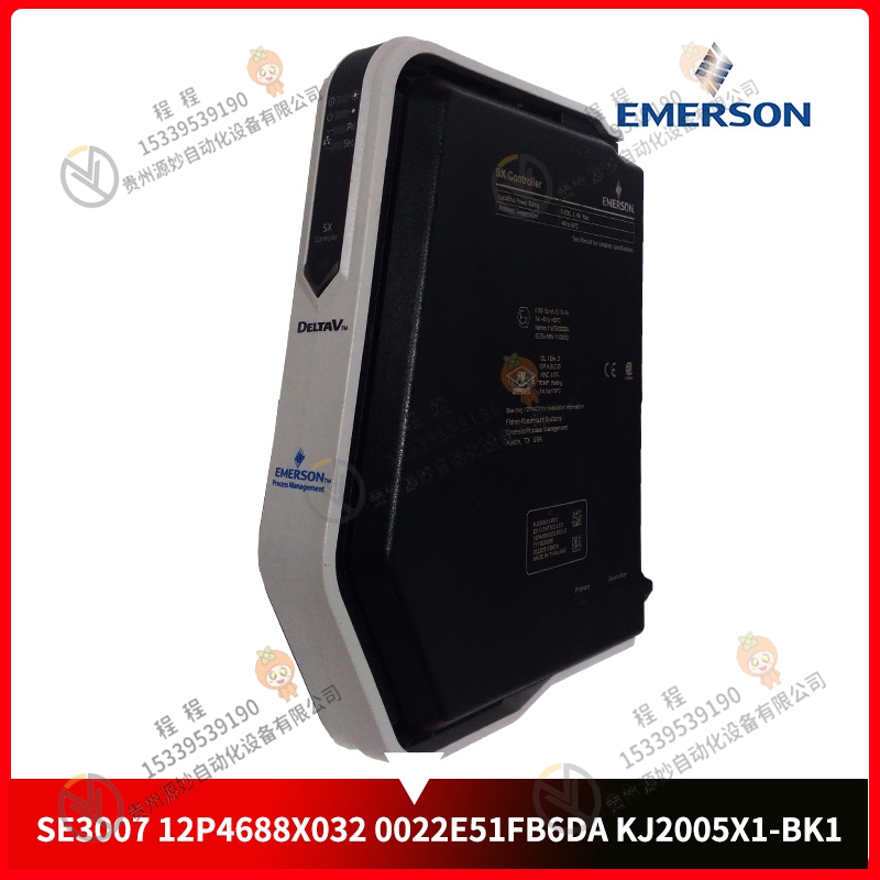Emerson  艾默生   307-100