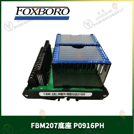 FOXBORO   福克斯波罗 B0123HE  模块