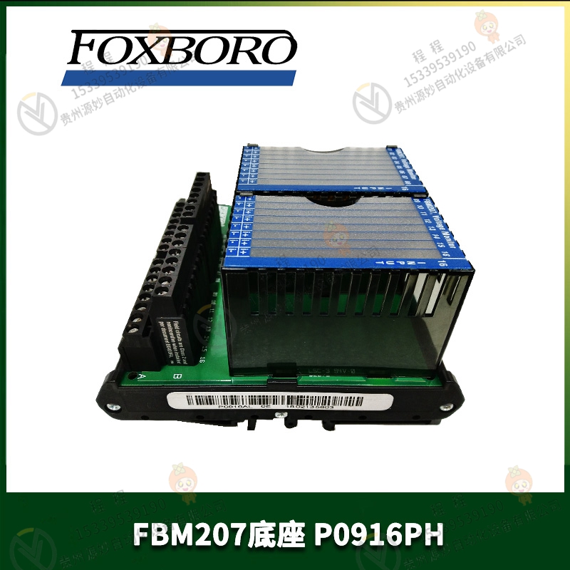 FOXBORO   福克斯波罗  P0913AF    模块