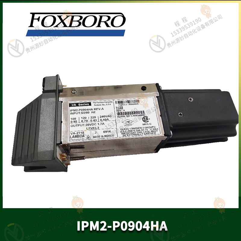 FOXBORO   福克斯波罗  P0916PP   模块