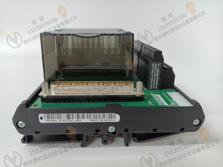 FOXBORO 福克斯波罗 P0970BP 模块
