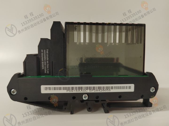 FOXBORO 福克斯波罗 P0971WG 模块