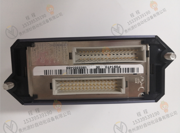 FOXBORO 福克斯波罗P0973BR    模块