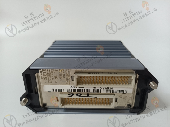 FOXBORO  福克斯波罗  P0997PJ 模块